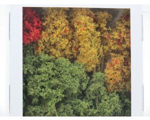 Jordan 4C Naturbäume 12St. herbstl. 8-14 cm