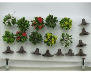 Jordan 9B Büsche blühend 10st. 3 cm