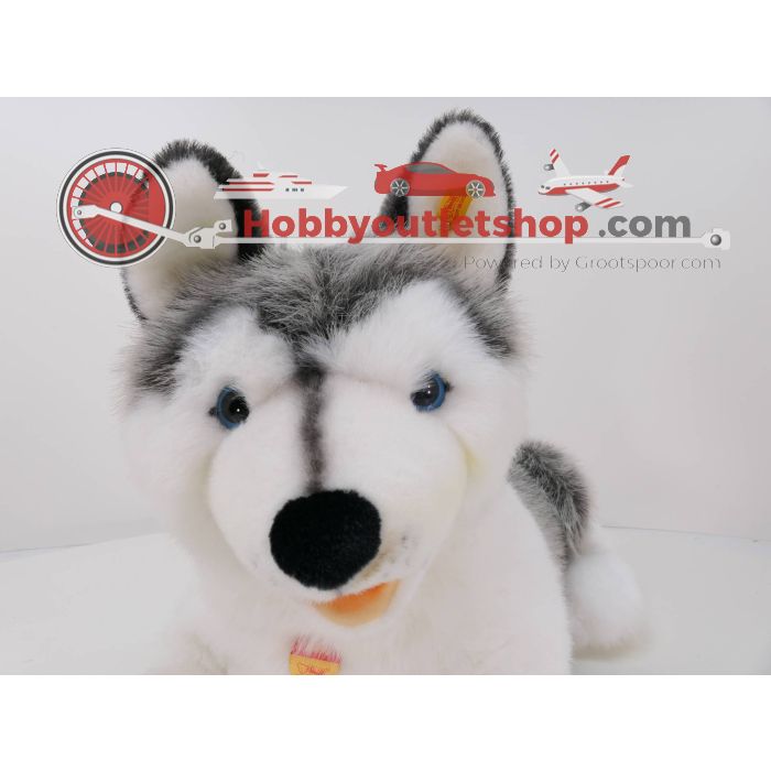 Steiff Bernie Husky 104961 60 cm hoog #4577